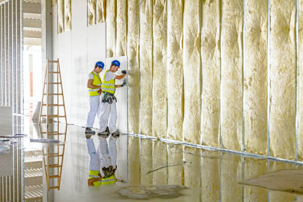 Best Types of Insulation in Auburn, MI